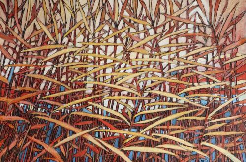 Riet